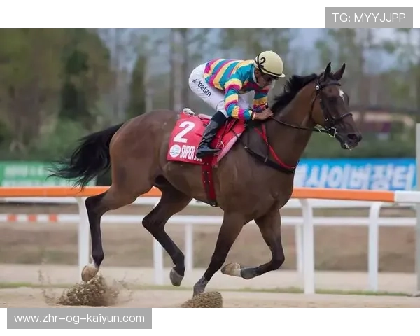 Gen.G赛事运营能力持续提升，赛事运营的内容有哪些