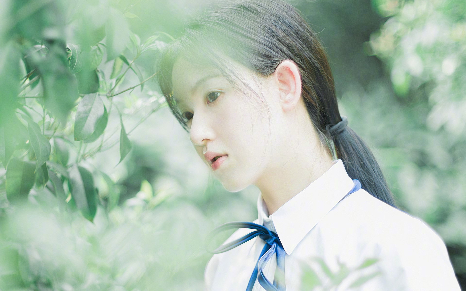 KPL直播镜头捕捉选手精彩操作全网点赞，kpl选手操作视角